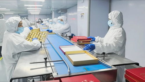 一句玩笑话，撬动瑞士莲上海生产线 亚太首条食品产线落户申城背后的故事